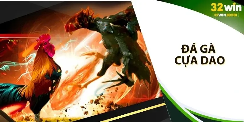 đá gà cựa dao